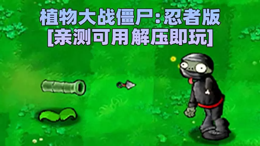 植物大战僵尸：忍者版 简体中文 免安装 绿色版 [亲测可用 解压即玩]【70.5MB】-单机屋-GTA5MOD下载站-好玩的单机游戏网